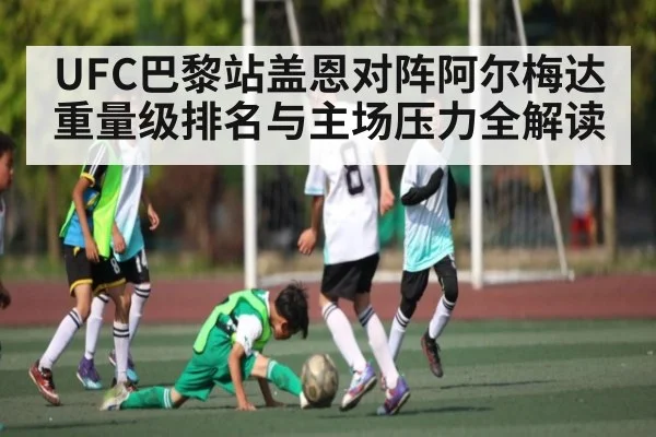 UFC巴黎站盖恩对阵阿尔梅达 重量级排名与主场压力全解读