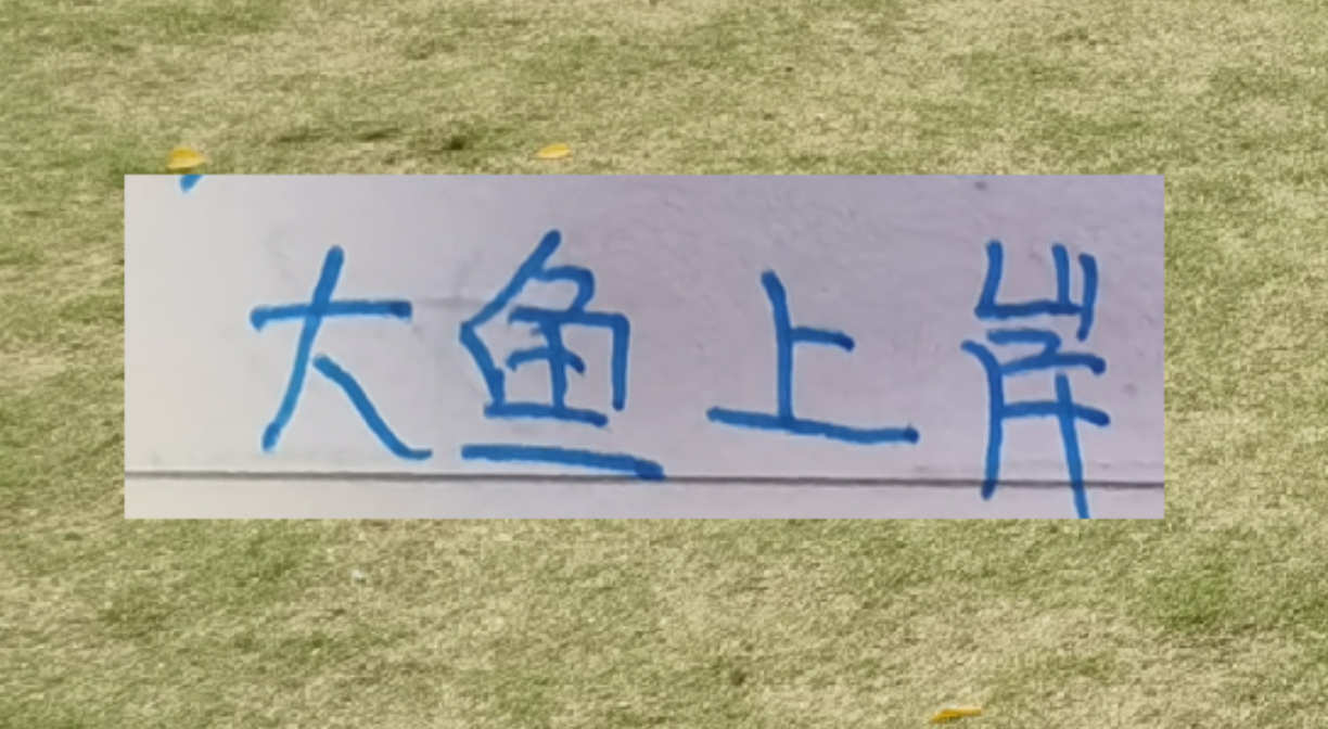开云-海港本土大鱼上岸了！新赛季前2轮转正不在话下吗？